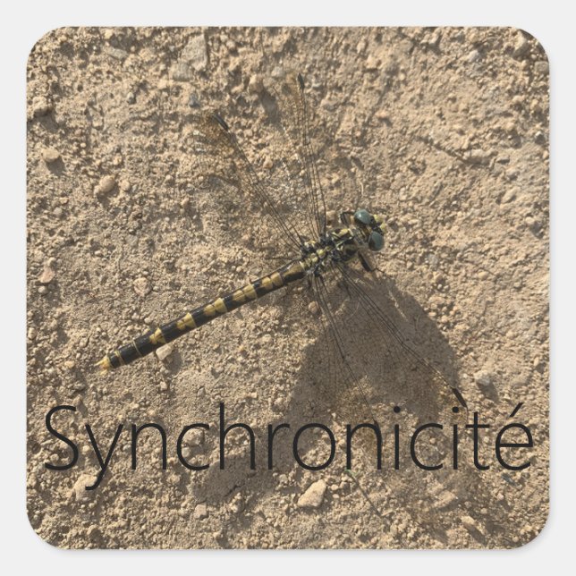Carré Sticker 'Syncrhonicité' (Devant)