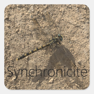 Carré Sticker 'Syncrhonicité'