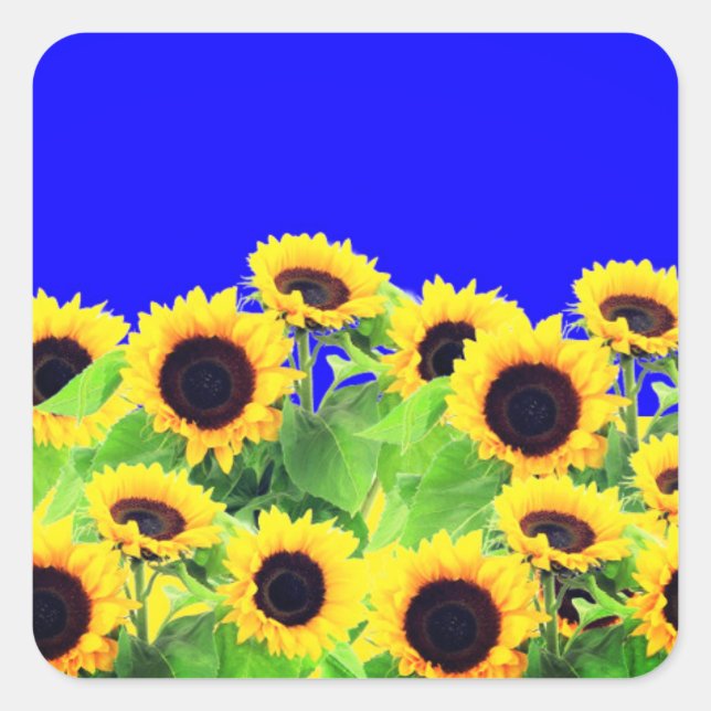 Carré Sticker Tournesol Ukraine Drapeaux couleurs - Libe (Devant)