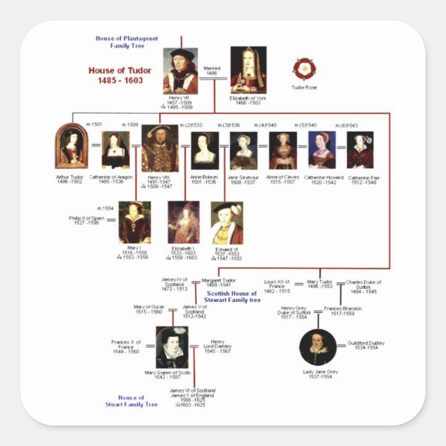 Carré Sticker Tudors (Devant)