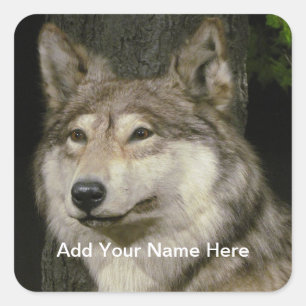 Carré Sticker Wolf