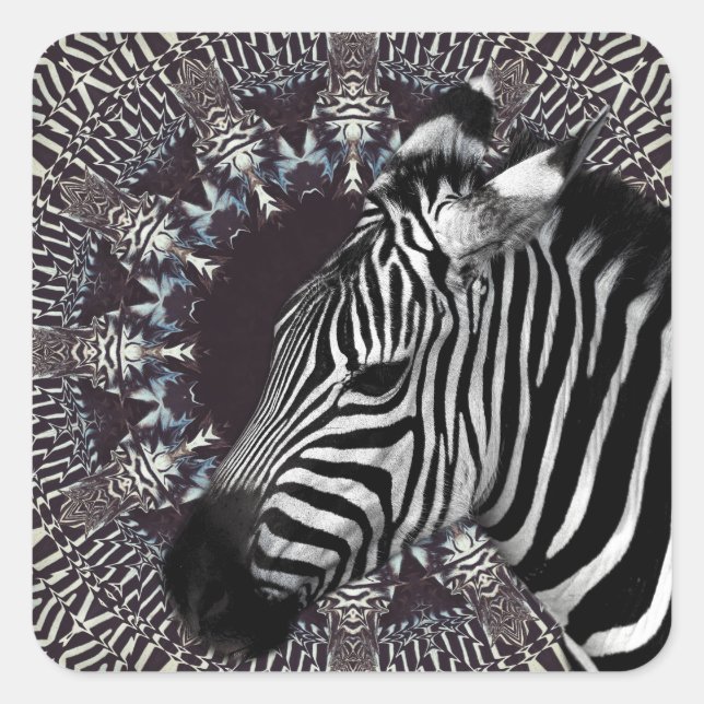 Carré Sticker Zebra Art (Devant)
