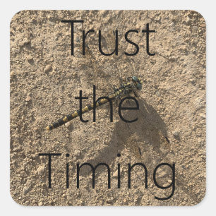 Carré Trust The Timing - Sticker
