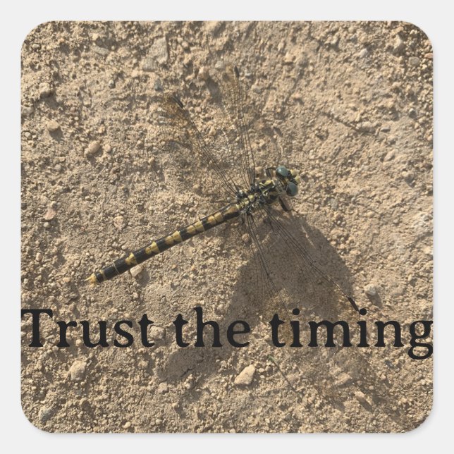 Carré Trust the Timing Sticker (Devant)