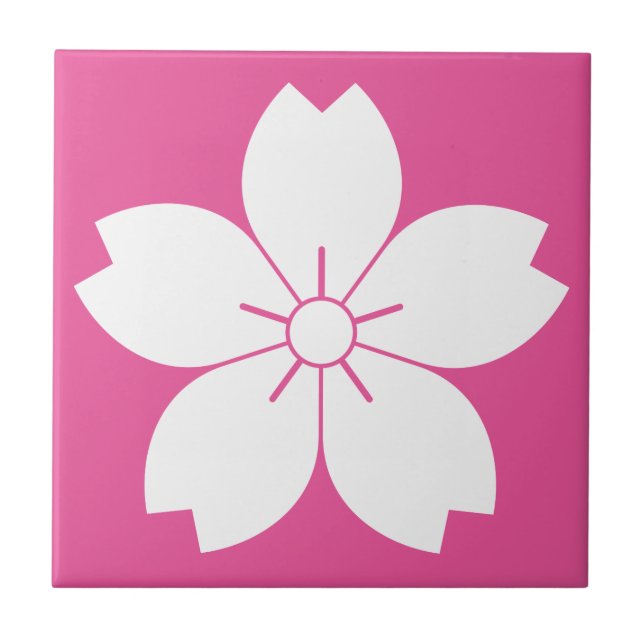 CARREAU 山桜 (Devant)