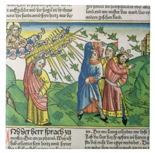 Carreau 10:1 d'exode - 20 les sept pestes de l'Egypte : le