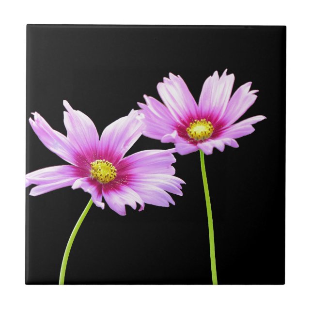 Carreau 2 Cosmos (Devant)