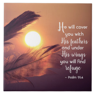 Carreau 91:4 de psaume il vous couvrira de ses plumes