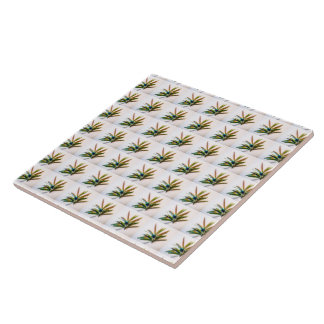 Carreau À feuillage persistant Sprig avec Berries Motif Ca