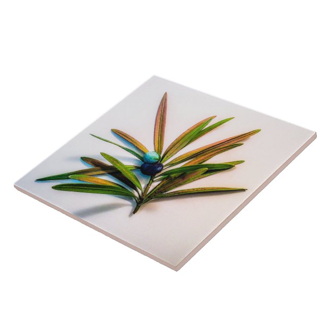 Carreau À feuillage persistant Sprig avec Carrelage de bai (Côté)