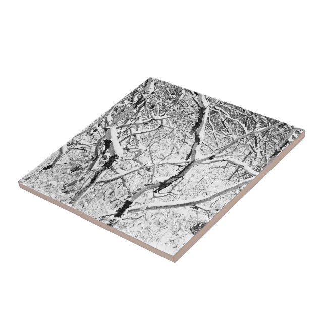 Carreau à la maison dans la neige (Côté)