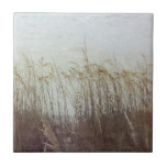 Carreau A travers les Dunes II<br><div class="desc">Décorations pour la maison</div>