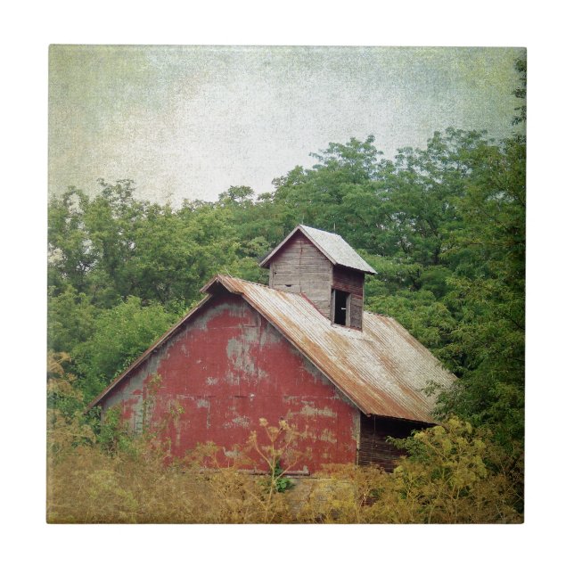 Carreau Abandonné et surcultivé (Devant)