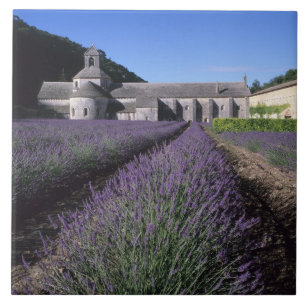 Carreau Abbaye de Senanque, Gordes, Vaucluse, Provence,