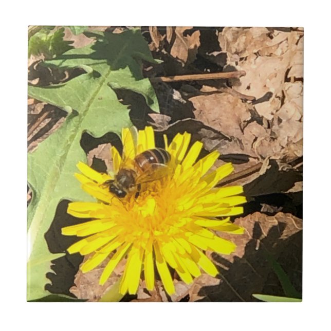 Carreau Abeille (Devant)