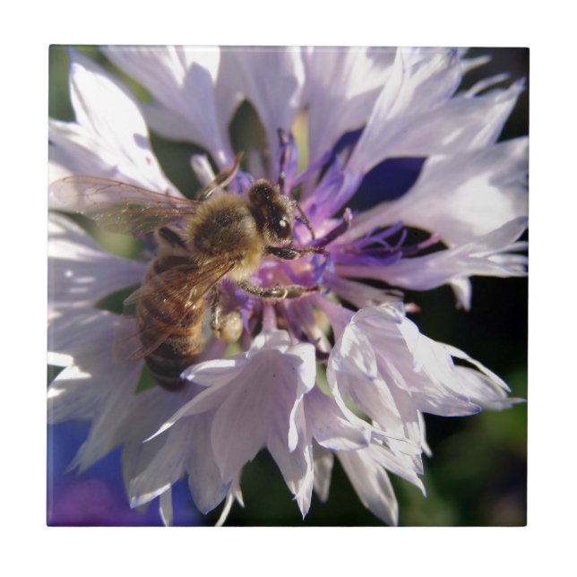Carreau Abeille et fleurs bleues (Devant)