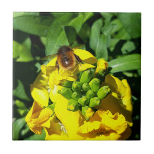 Carreau Abeille sur Fleurs Jaunes