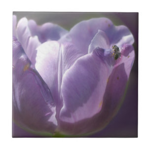 Carreau Abeille sur la Lavender Tulip Flower Nature