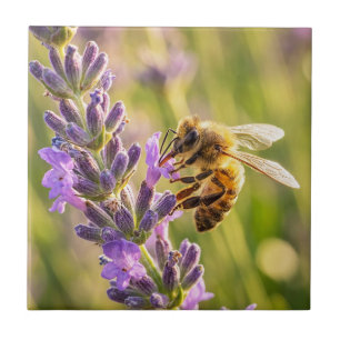 Carreau Abeille sur lavande