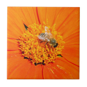 Carreau abeille sur tuile orange
