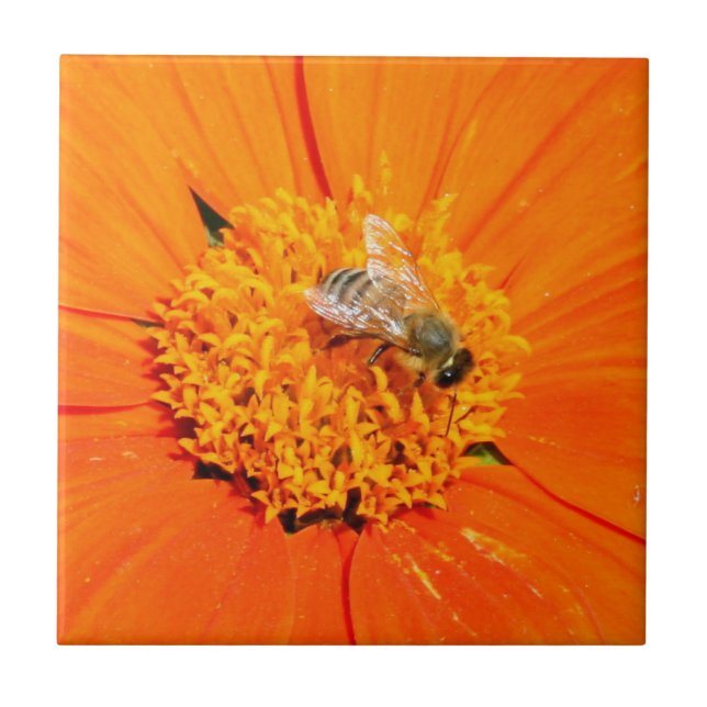 Carreau abeille sur tuile orange (Devant)