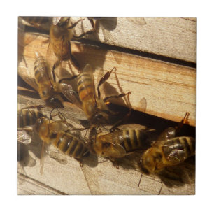 Carreau Abeilles à miel