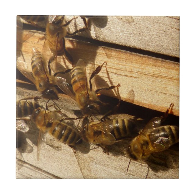 Carreau Abeilles à miel (Devant)