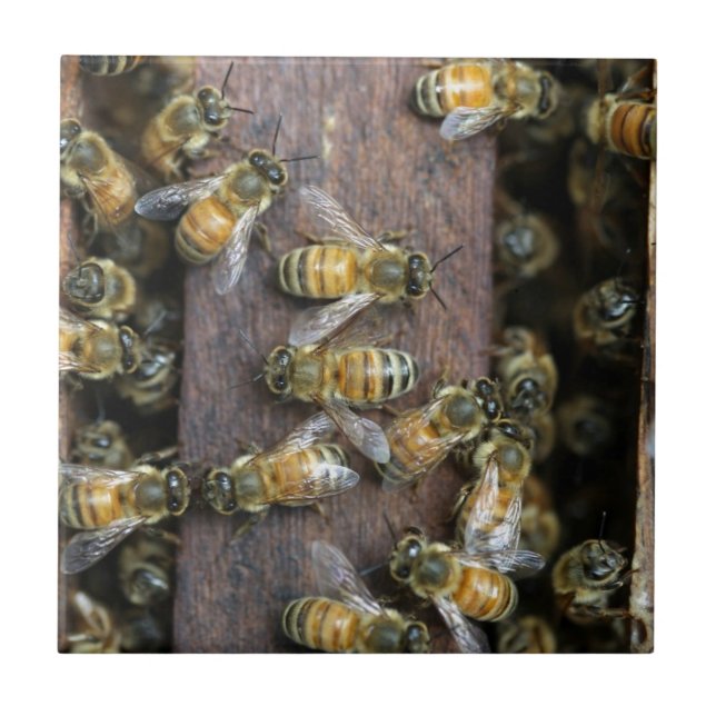 Carreau Abeilles occupées à la ruche (Devant)