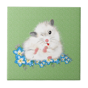 Carreau Accessoires mignons pour hamster syrien blanc, poi