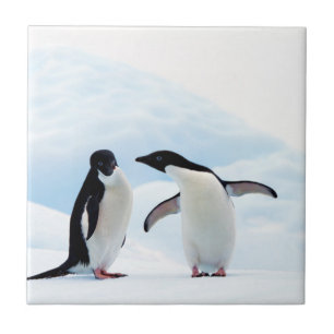Carreau Adelie Penguins