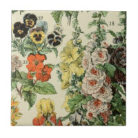 Adolph Millot Détails de la flore botanique