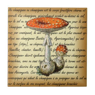Carreau Adolphe Millot ~ Champignons-pour tous fixes ~