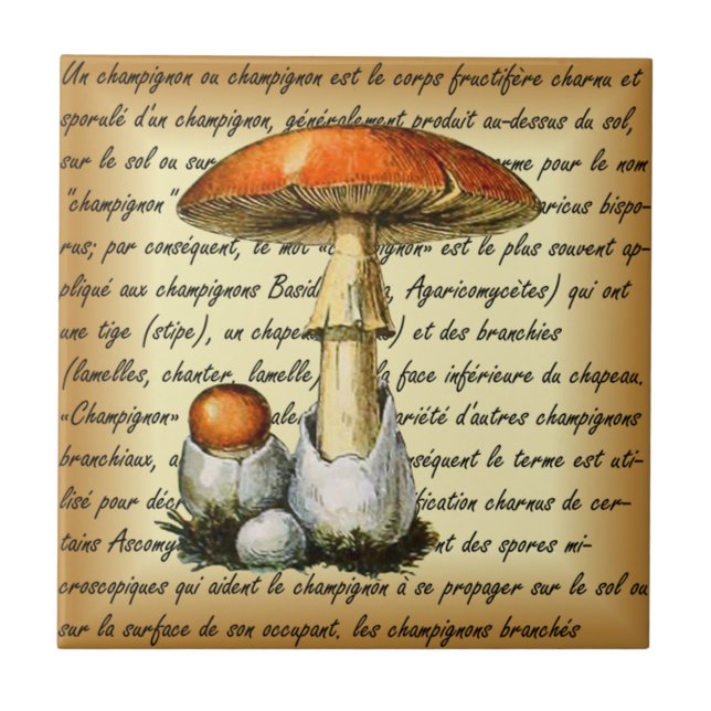 Carreau Adolphe Millot ~ Champignons-pour tous fixes ~  (Devant)