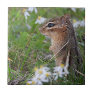 Carreau Adorable Chipmunk en fleurs