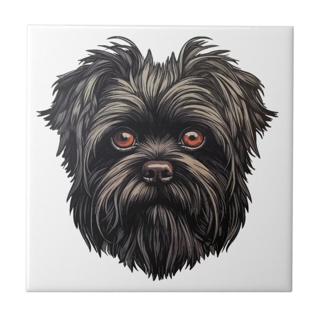 Carreau Affenpinscher Monkey Dog Affens Terrier (Devant)