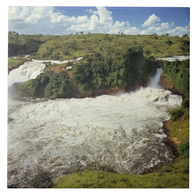 Carreau Afrique, Ouganda, Parc national des chutes Murchis (Devant)