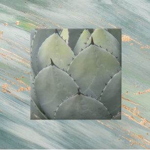 Carreau Agave Cactus Style Plante du Sud-Ouest