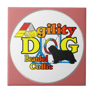 Carreau agilité de collie barbu