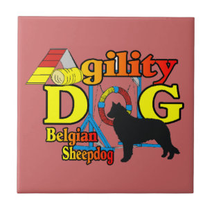 Carreau Agilité de Sheepdog Belge