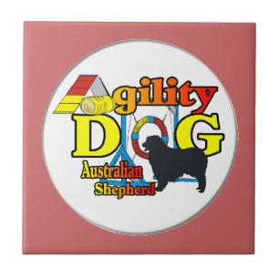 Carreau Agilité des bergers australiens