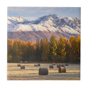 Carreau Agriculture de l'Alaska