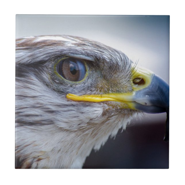 Carreau Aigle (Devant)