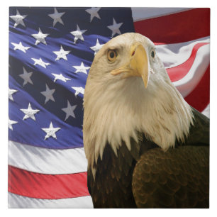 Carreau Aigle américain chauve Décor patriotique drapeau U