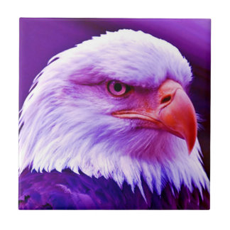 Carreau Aigle d'Amérique