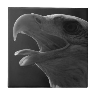 Carreau Aigle noir et blanc