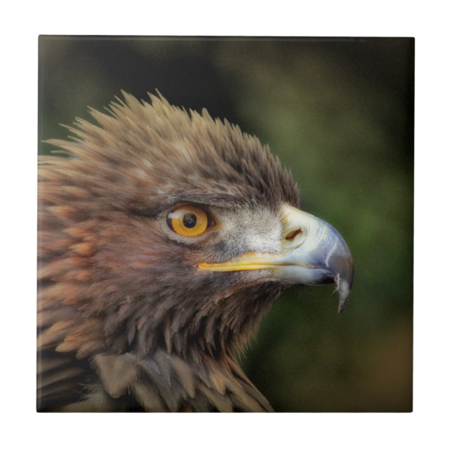 Carreau aigle royal (Devant)