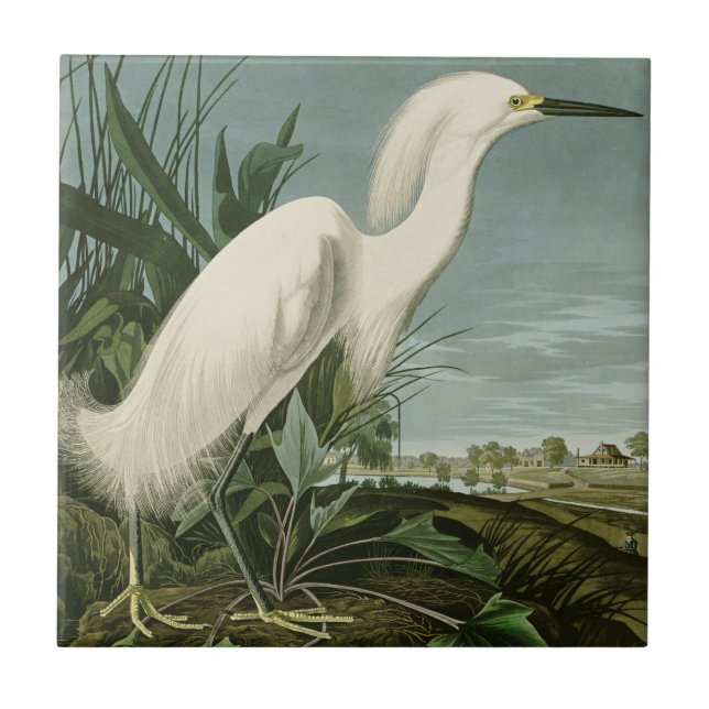 Carreau Aigrette neigeuse d'Audubon oiseau Héron blanc orn (Devant)