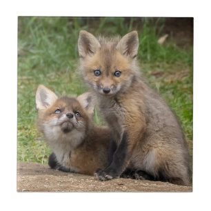 Carreau Aimer les yeux