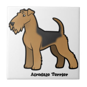 Carreau airedale terrier