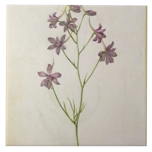 Carreau Ajacis de delphinium, c.1568 (Devant)